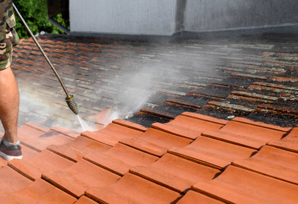 Best Local Pressure Washing Services  in Great Falls, VA