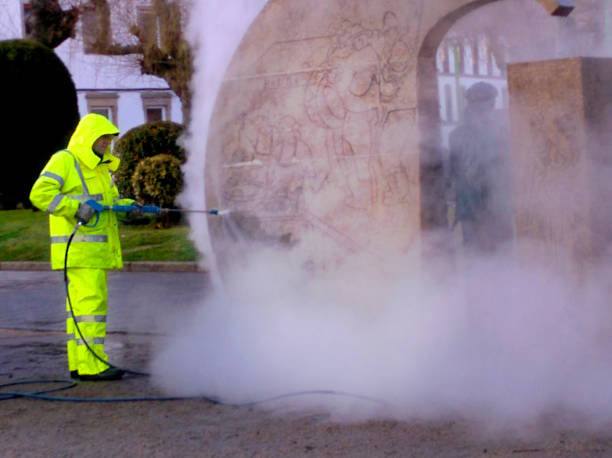 Best Roof Pressure Washing  in Great Falls, VA